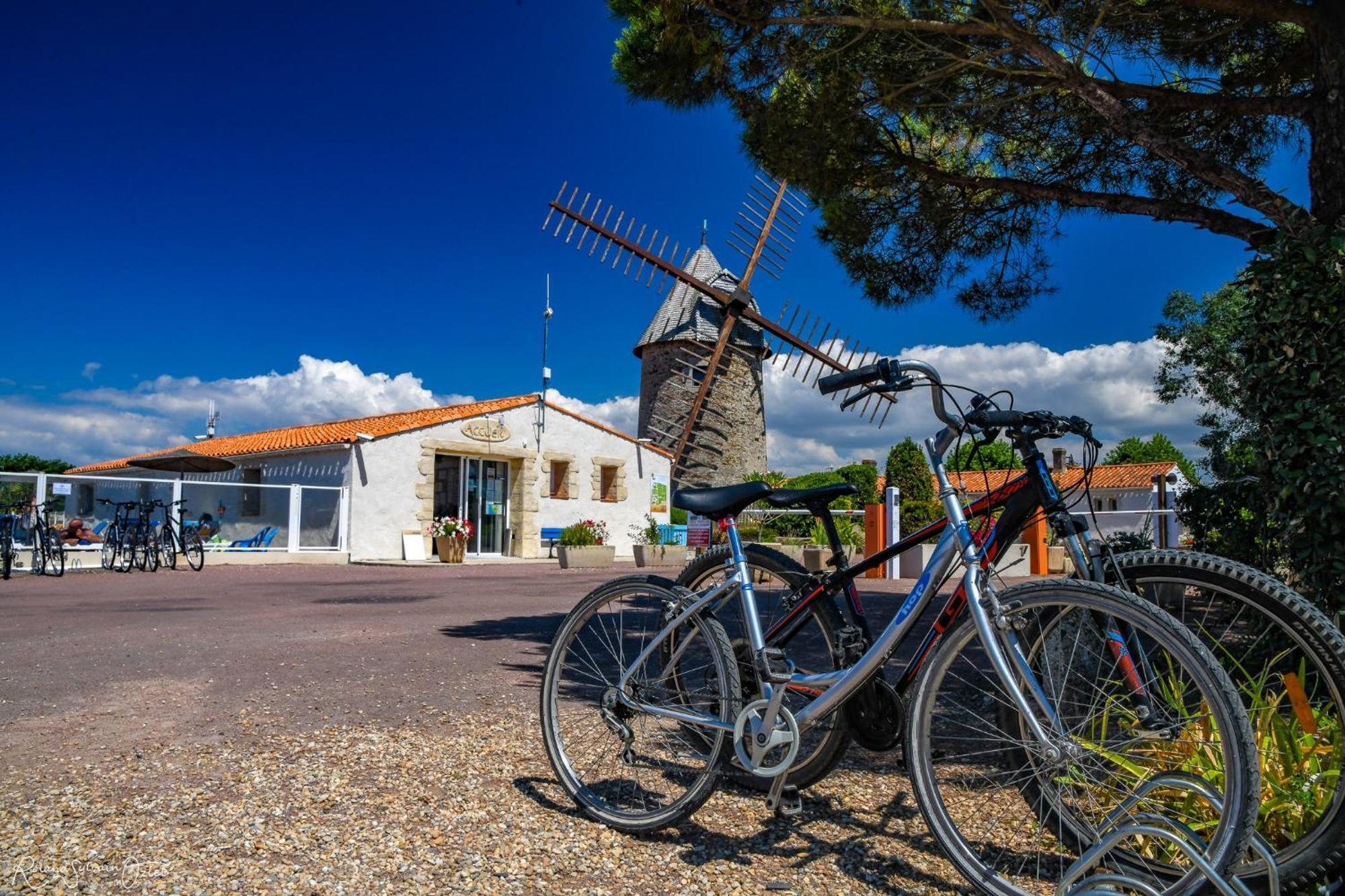 Les Sables-dʼOlonne Camping Le Moulin De La Salle מראה חיצוני תמונה